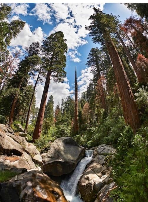 Sequoia Villa Визалия Экстерьер фото
