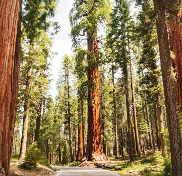 Sequoia Villa Визалия Экстерьер фото