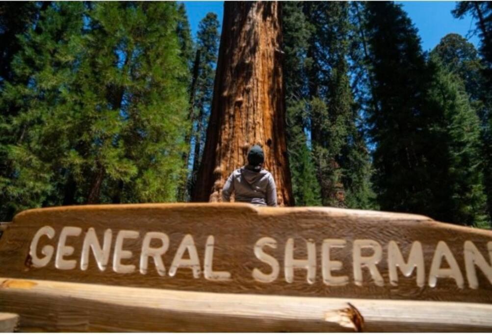 Sequoia Villa Визалия Экстерьер фото