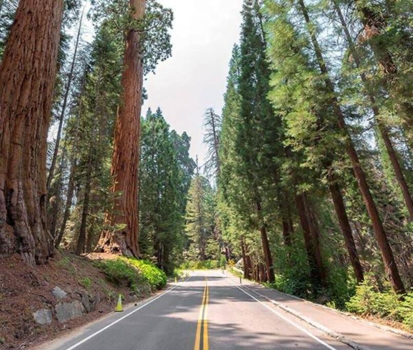 Sequoia Villa Визалия Экстерьер фото